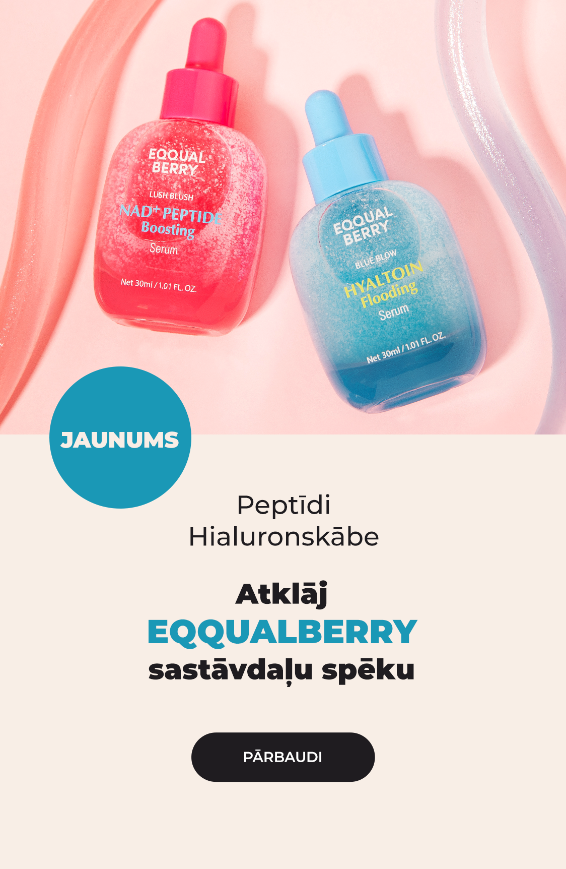 EQQUALBERRY nowość_lv
